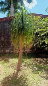 Lovely Home Near the Airport and Business District