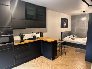 Apartamenty Szary Wilk - klimatyczne apartamenty dla 2 osób - BLISKO CENTRUM -BEZPŁATNY PARKING