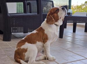 Aldeamento Praia dos Beijinhos
