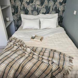 Luxury apartment city center Montbeliard