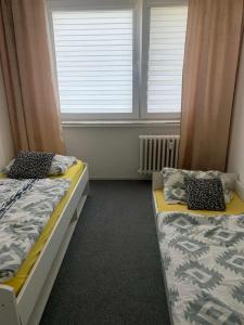 Apartman Jane