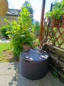 Il Rifugio della Baita