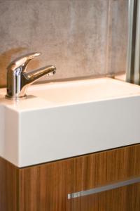 Le Petit Charles Studio cosy Nancy Centre