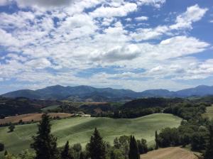 Poetic glass house in the countryside