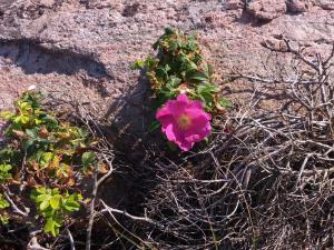 4 person holiday home in Heberg