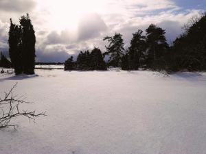 5 person holiday home in HALTORP-By Traum