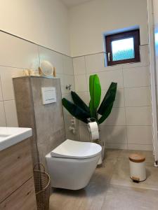 Ferienwohnung simply good