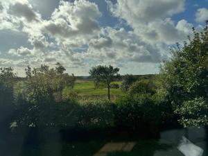 Wiesenblick