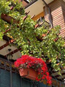 Boulevard Sea Residenz 300 meter zum Sandstrand