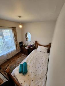 BEE GENTLE BEE KIND BEE HAPPY rooms - Ubytování bez kategorie ve městě Glastonbury