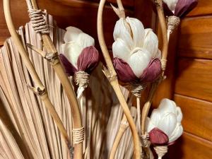 Eco Tini Villas Rice Fields and Jungle View