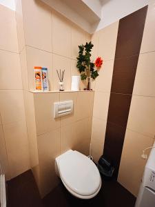 Palace View Apartment 2 rooms