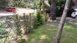 La casita del bosque