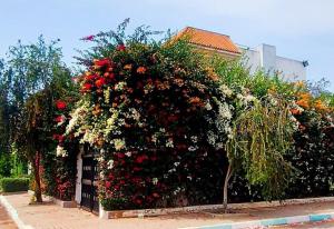 Stunning Sunny Villa, near airport