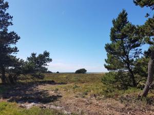 4 star holiday home in Læsø