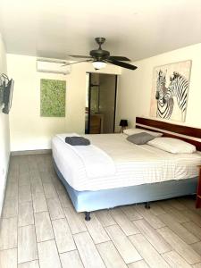Private room w bath near ocean near Tamarindo