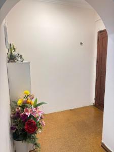 Apartment in prior Velho