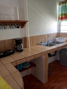Apartamentos y Cabinas Geckos
