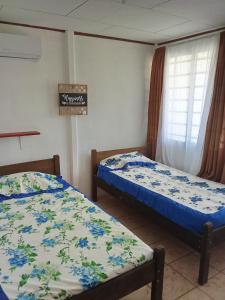 Apartamentos y Cabinas Geckos