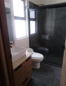 Beautiful private house 10 minutes from downtown