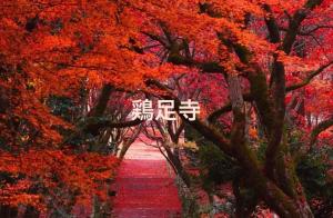 YURURIBASE 凛 -LakeBiwa,Nagahama