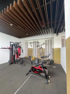 2 BR Spacious Loft Apartment