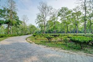 Hotel O Heritage Nest Resort Kazirnga