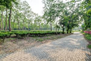 Hotel O Heritage Nest Resort Kazirnga