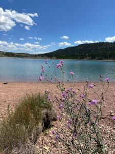 Newly-Built Modern Farmhouse in Lewistown, MT