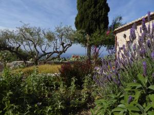 Antares Hotel Mani Lakonia Greece