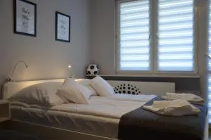 Apartamenty Słowackiego 1 & Ogrodowa 2 - Sandomierz