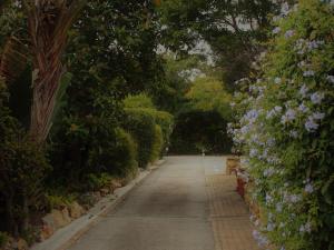 Dempseys Self-Catering Guest House