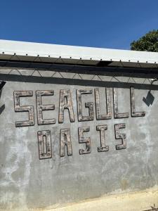 Seagull oasis