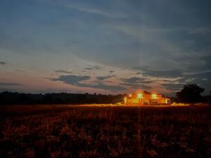 Dr Bones jungle home Tipeshwar wildlife sanctuary