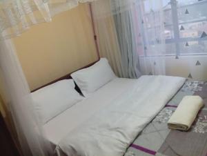 Wattas Haven 2BR Apartment In Makasembo, Kisumu