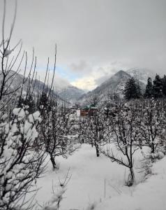 PIBU House , TULGA - Ubytování bez kategorie ve městě Kalgha