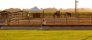 Agriturismo Giuncola & Granaiolo