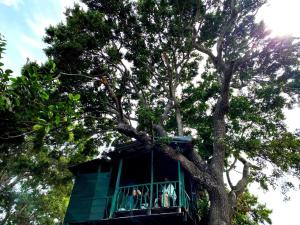 Yala Wild Tree House