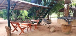 Yala Wild Tree House