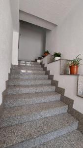 La Luna e la Rana Vacation Home