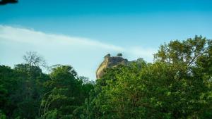 Little Haven Cottage