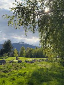 Pirin Golf Cozy Mountain Apartment with Views of Pirin & Rila