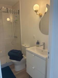 Arcachon T2 50 m2 climatisé 4 personnes proche port et plage à pied