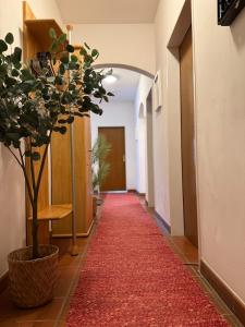 Seeperle Tutzing, zentral, fussläufig zum Starnbergersee