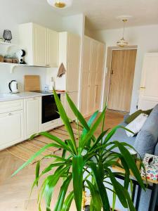 Old Town Riverside Haven