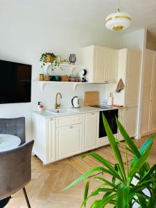 Old Town Riverside Haven - 3hvězdičkové hotely ve městě Vilnius