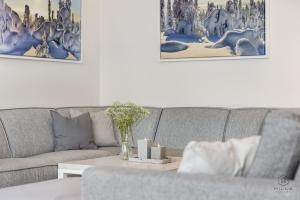 Live Levi by Hilla Villas