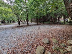 Hongcheon Gaon Resort Village Glamping