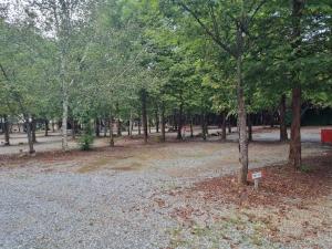 Hongcheon Gaon Resort Village Glamping