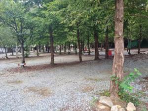 Hongcheon Gaon Resort Village Glamping